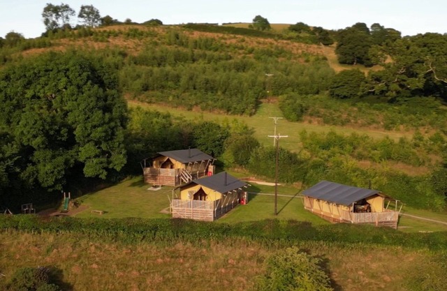 Maple, Birch and Oak Safari Tent, three family friendly tent in Devon