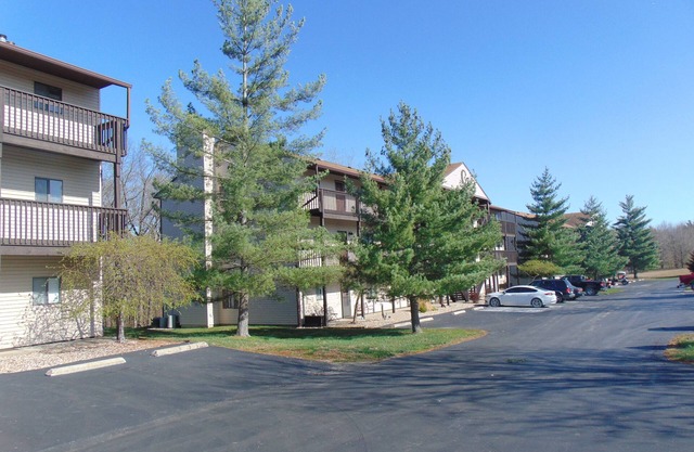 Mark Twain Lake Condo