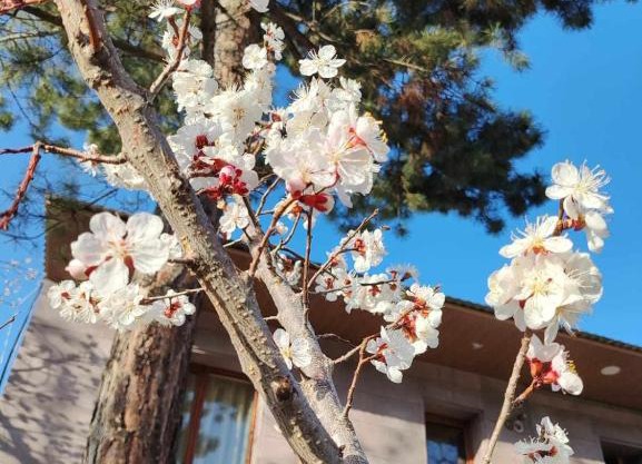 Mashtots B&B