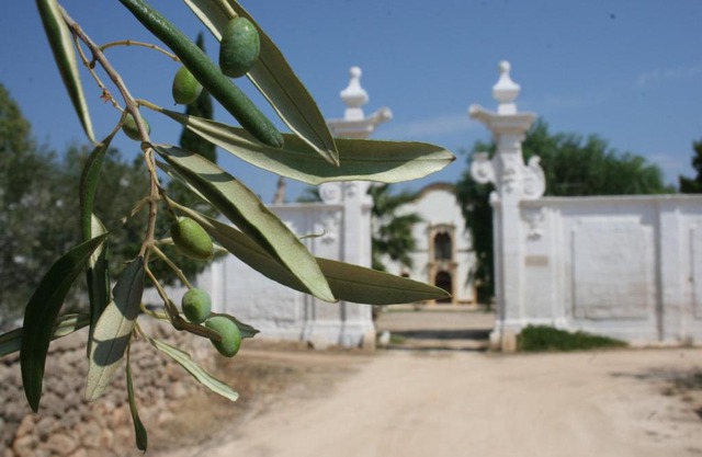 Masseria Maccarone