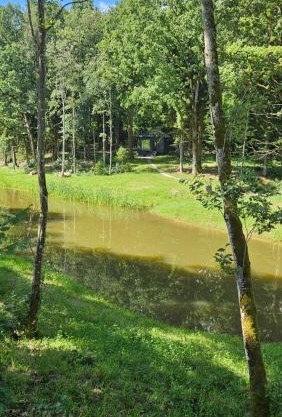 Medžių glėbyje