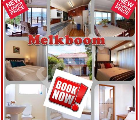 Melkboom