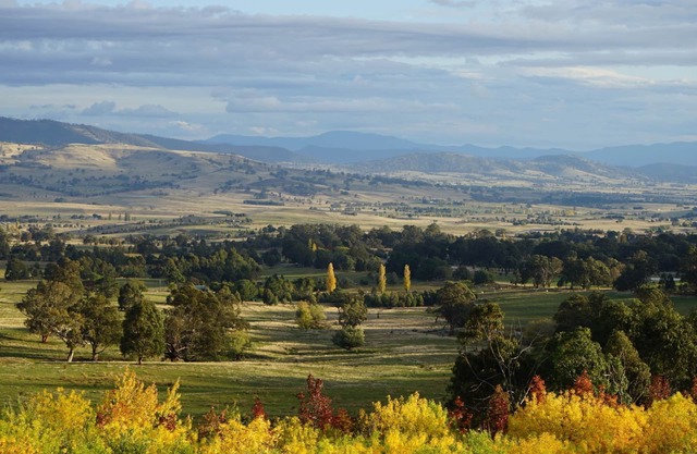 Merrimont Downs - Off Mountain Farm Stay