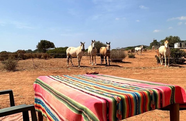 Michas caravan for 2 See the herd of horses from your bed