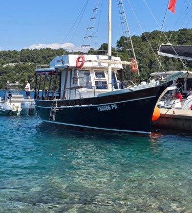 Mirta Tours & Half a day of Waves and Wine
