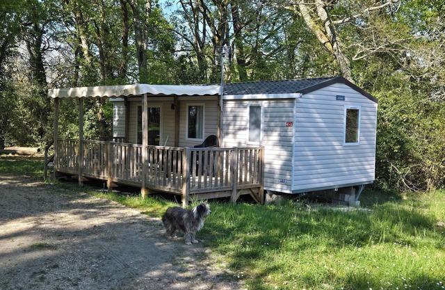 Mobil-home 4/6p quiet property 20 min from Jonzac. Ideal for curists.