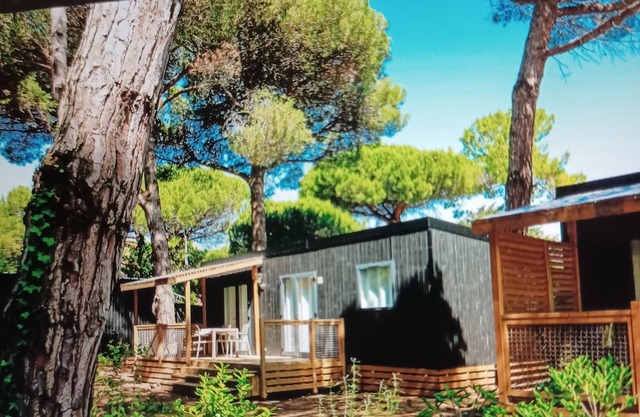 Mobilhome Ile de Ré, elegant wood 32 m2. Direct beach access. Pets allowed