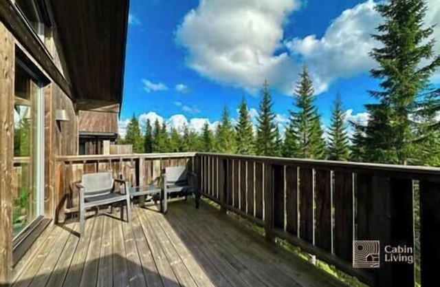 Modern ap next to the ski stadium, alpine slope