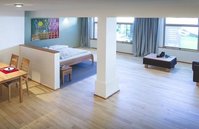 Modern apartment with large living room/bedroom, 70 m²