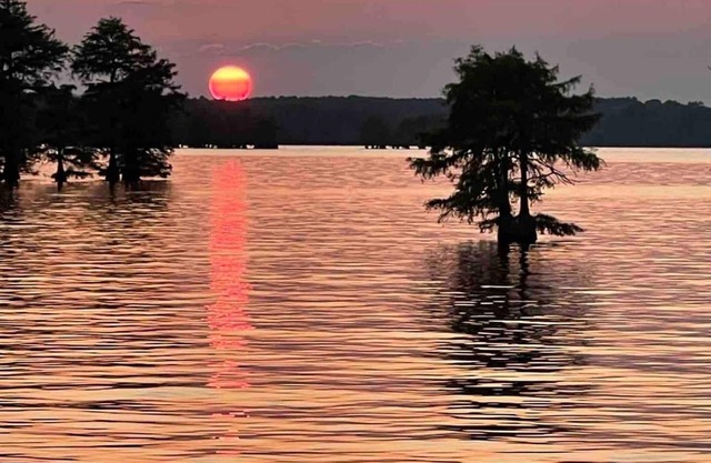 Modern Camper for rent at Caddo Lake with Kayaks, Caddo Lake Cabins, Oil City, La.