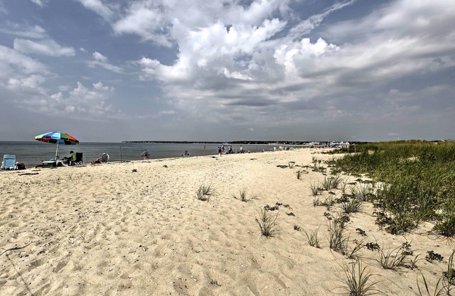 Modern Cape Cod Cottage: Walk to Craigville Beach