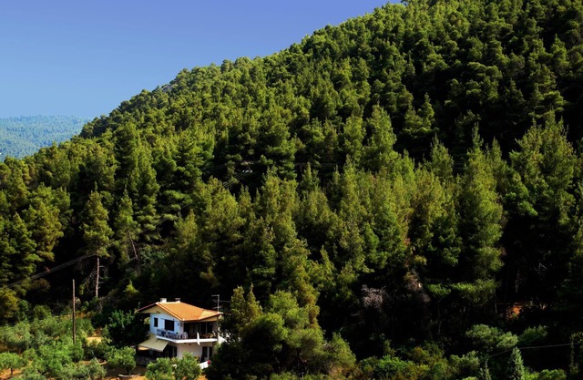 Modern furnished holiday apartment, idyllic located directly at the sea, Wifi |