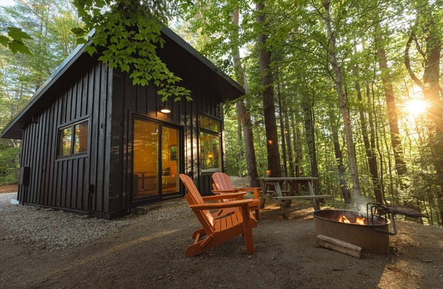 Modern, luxurious cabin in the woods - 19