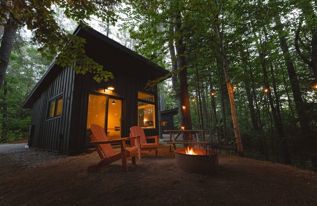 Modern, Luxurious Cabin in the Woods - 01