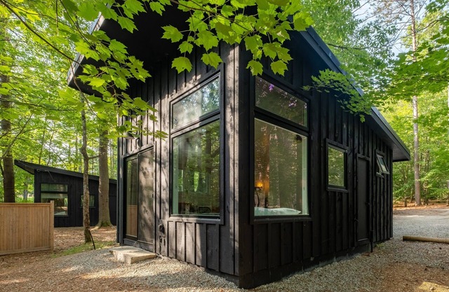 Modern, Luxurious Cabin in the Woods - 03