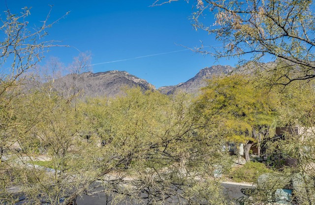 Modern Luxury Foothills Condo with Gorgeous Mountain Views.