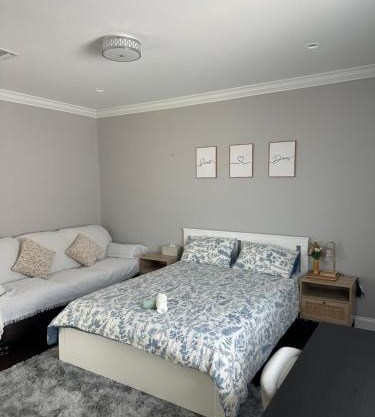 Modern Room with Cozy Vibes