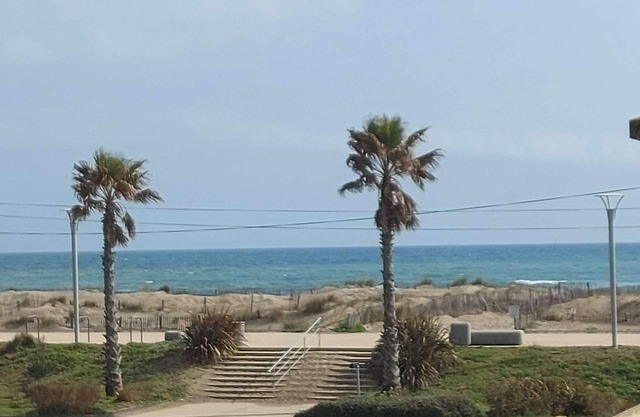 Modern studio, close to beach and shops, sunny terrace