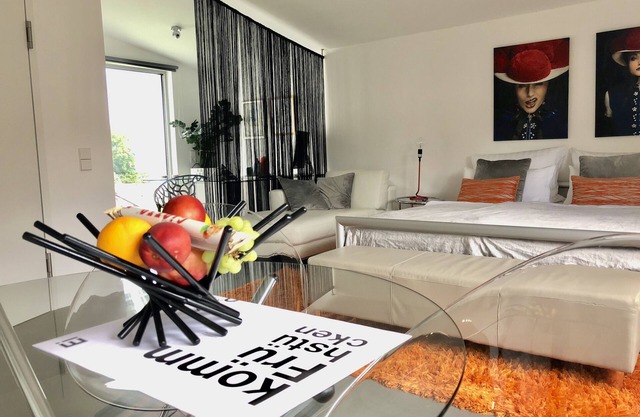 Modern studio on the sun terrace above Baden-Baden