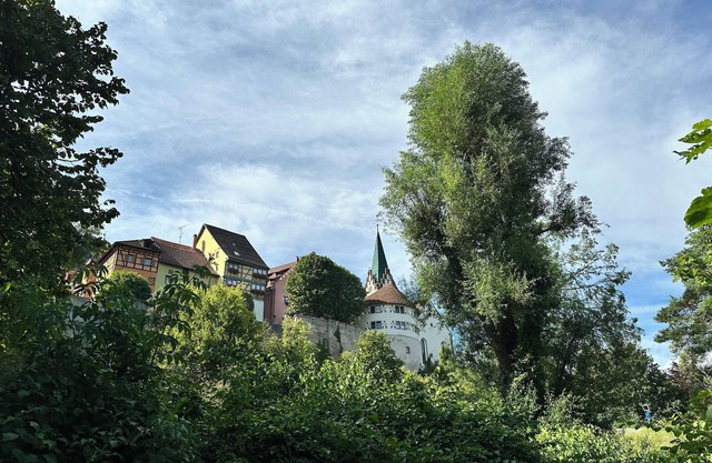 Modernes Apartment mit Terrasse und Garten - Zwischen Bodensee und Schwarzwald