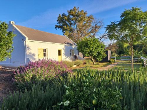 Moira's Cottage