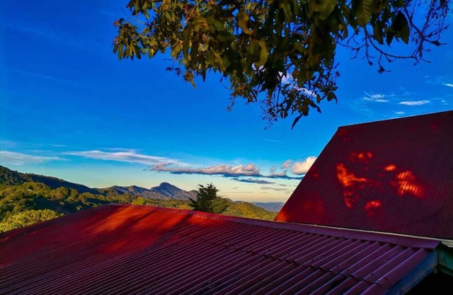 Monarca Cabin - The best view in the Area!