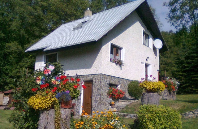 Montain hut in the forest with rump
