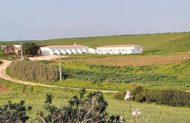 Monte Bagão - Turismo Rural
