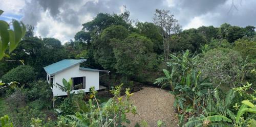 Monte Santo Y Café