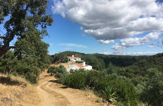 Monte São Francisco - cosy&modern house in Melides area close to the ocean.