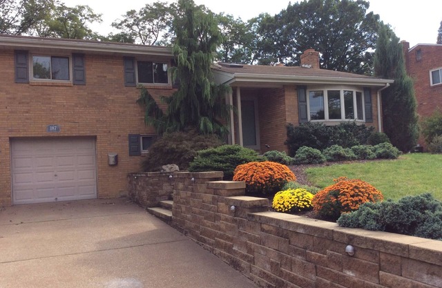 Monthly Bungalow In Green Tree