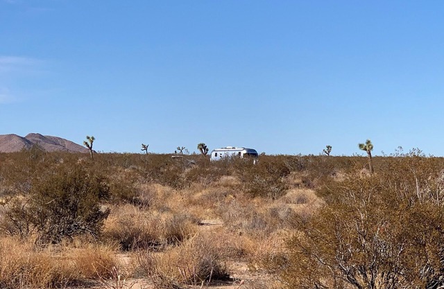Moonlight Desert Airstream Near Joshua Tree National Park!