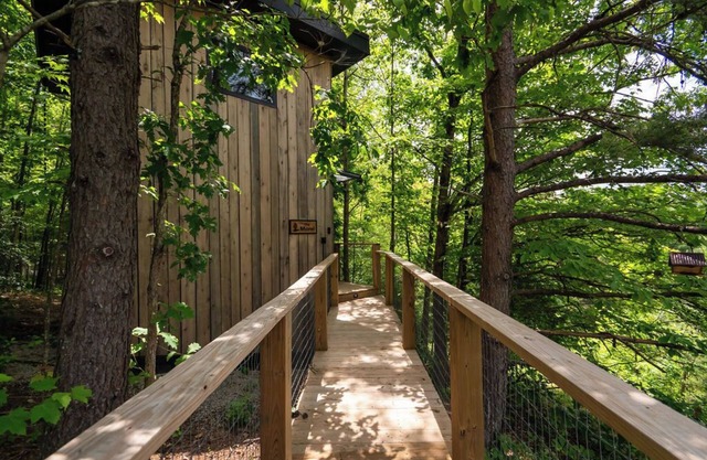 Morel Glamping Cabin with Wifi