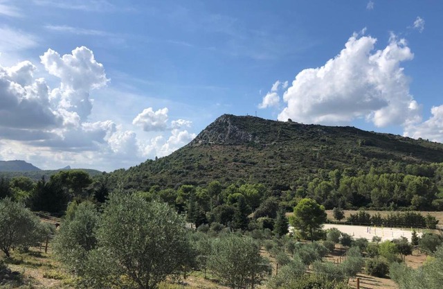 Mougere des oliviers