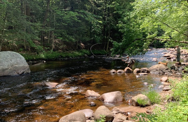 Mountain River Log Cabin on Otter Creek Scenic Natural Soaking Pool