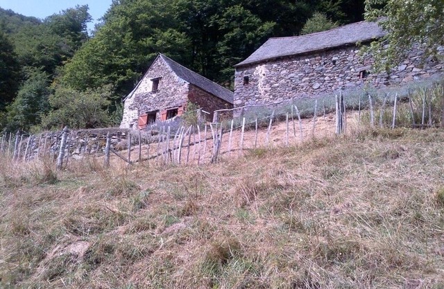 MOUNTAIN SHEEPFOLD