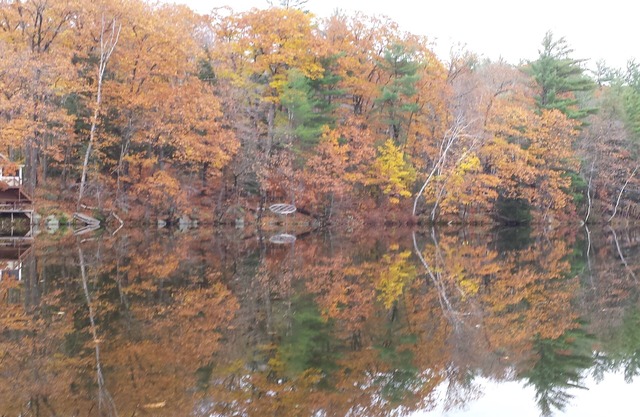 Mountain Views with private House, waterfront , swimming/dock sleeps 8
