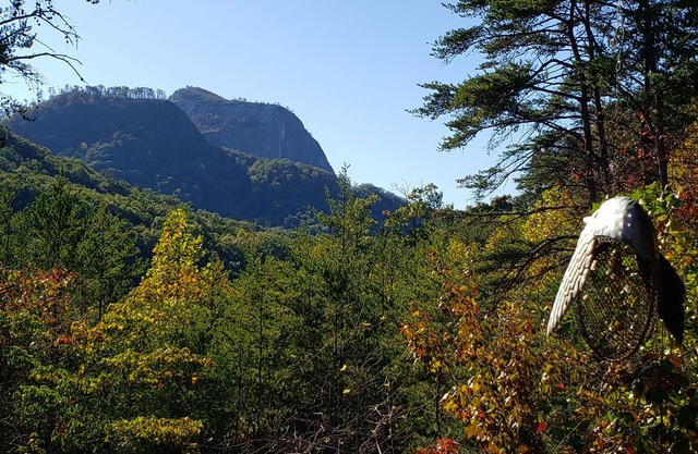 Mountains-Lakes-Parks-Winery-Privacy-SerenitynPick me for your Labor Day stay!