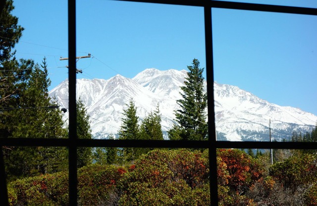 Mt Shasta✨Jacuzzi✨Mt Views✨4 acres✨Brand New Interior Decor✨