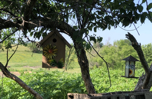 Mulberry Cottage Farm-Stay. A unique farm-stay in Southern Iowa
