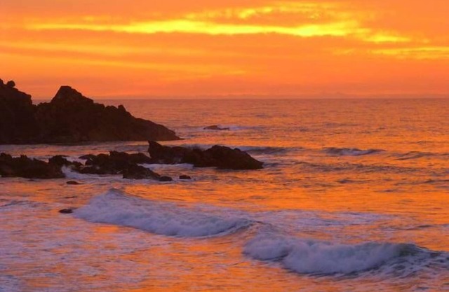 Mullaway Cabins Plantation