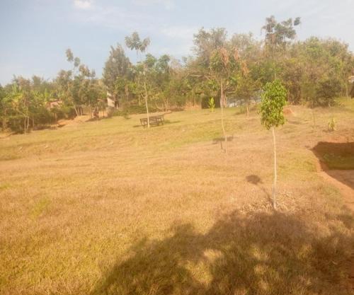 Munyana homestay