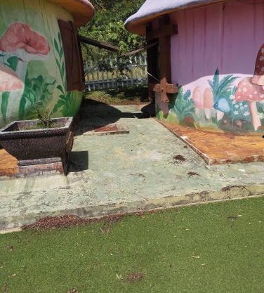 Mushroom Villa Best homestay