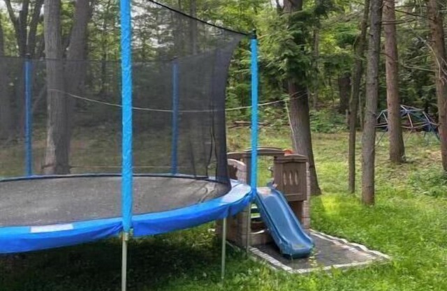 Muskoka Gem on 5 Acres of Enchanted Forest w/Panoramic Sauna!