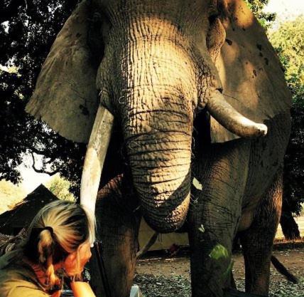 Mwinilunga Safaris