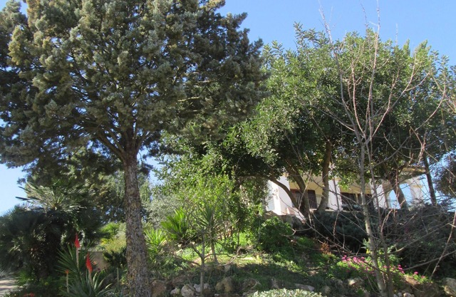 My Country House - Tranquility, relaxation and nature