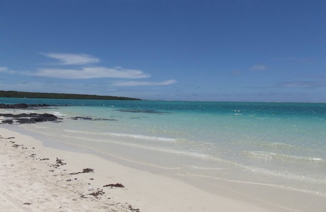 My Paradise Mauritius for 4 to 6 people, 20 minutes from the airport