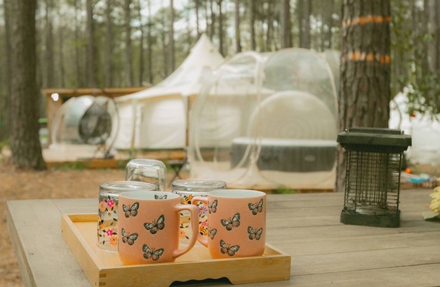 Mystic Woods, Ultimate Glamping 3 Tents, Sauna, 2 hot tub, & 3 firepits
