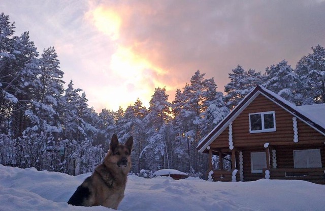 Naroch Guest House
