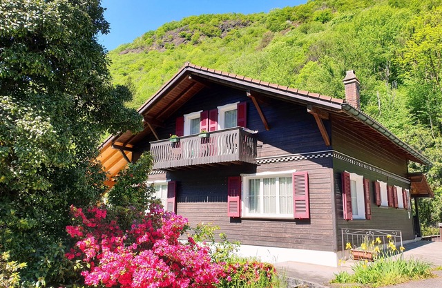 Natalya's attic - comfortable and cozy attic apartment